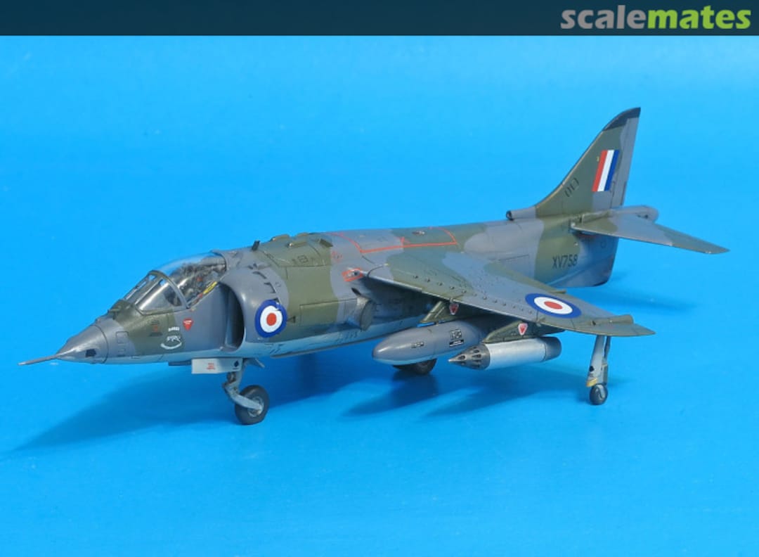 View album, image #1 View album, image #1