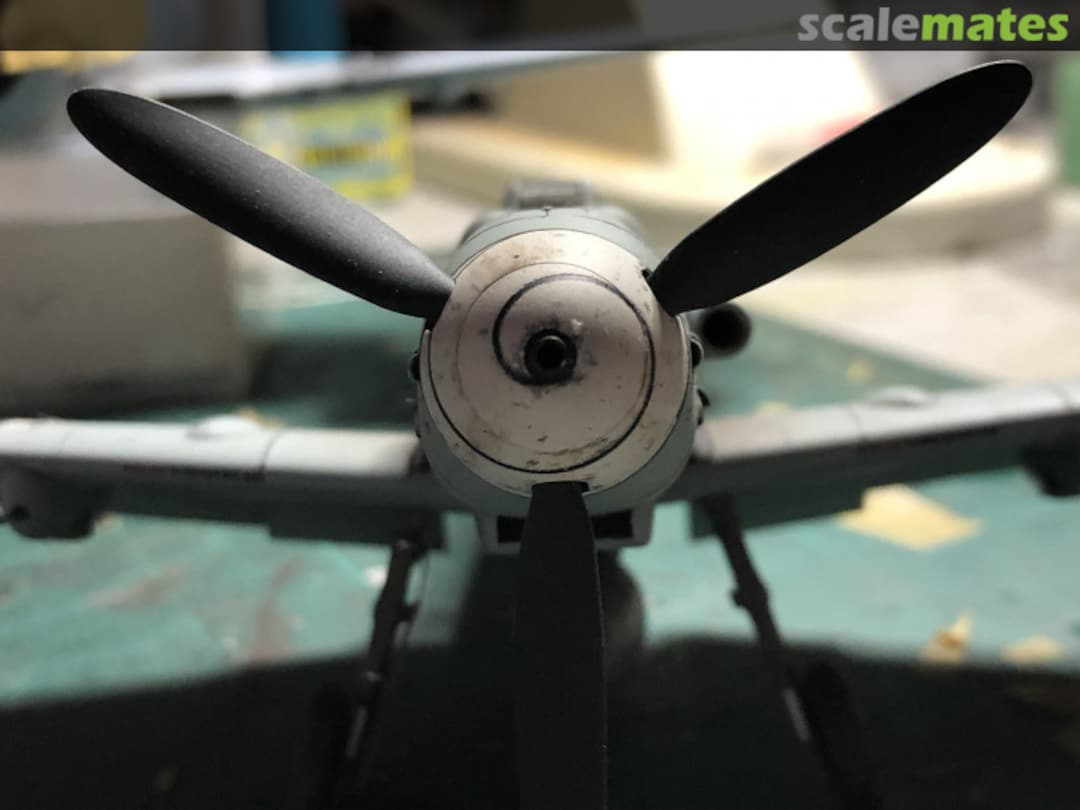 View album, image #1