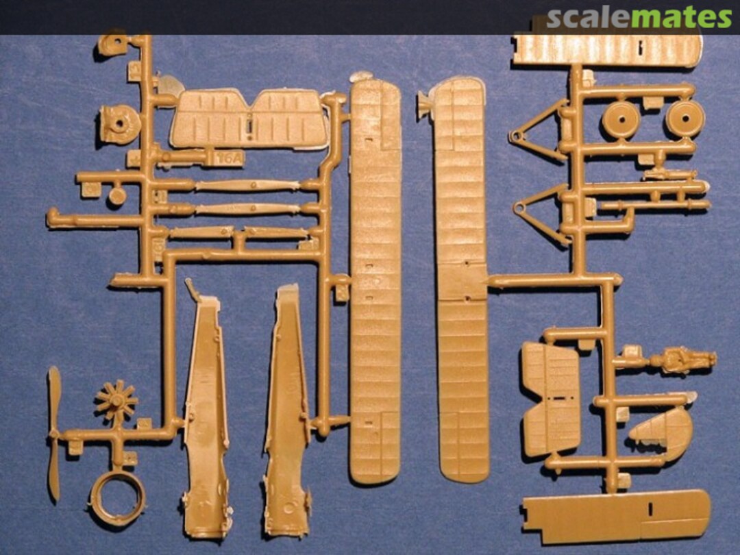 View album, image #1