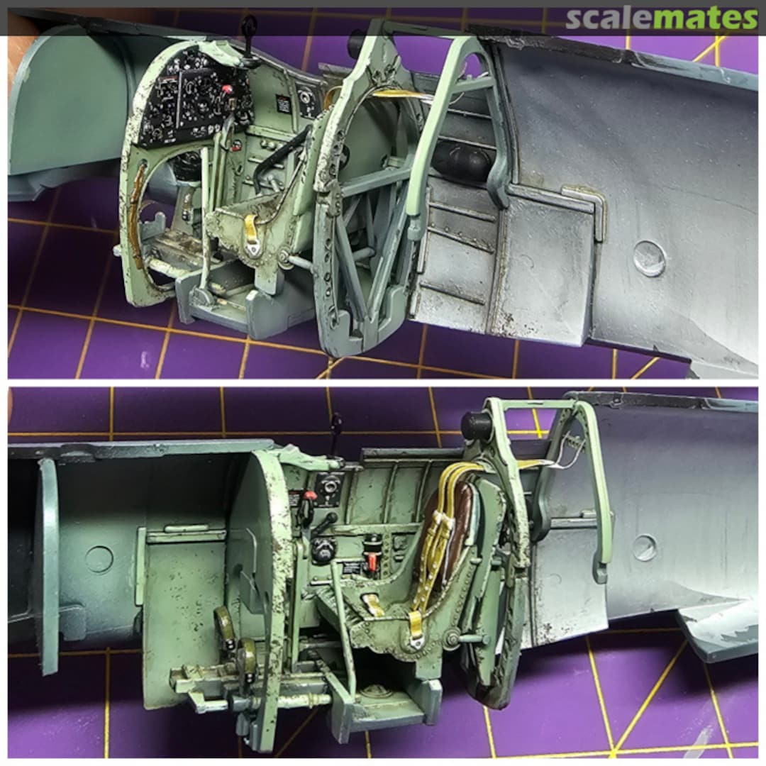 View album, image #5