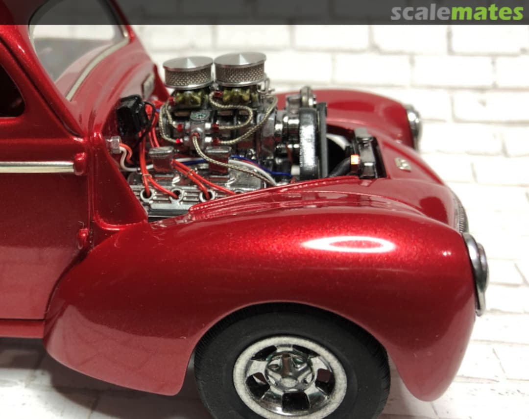 View album, image #1 View album, image #1