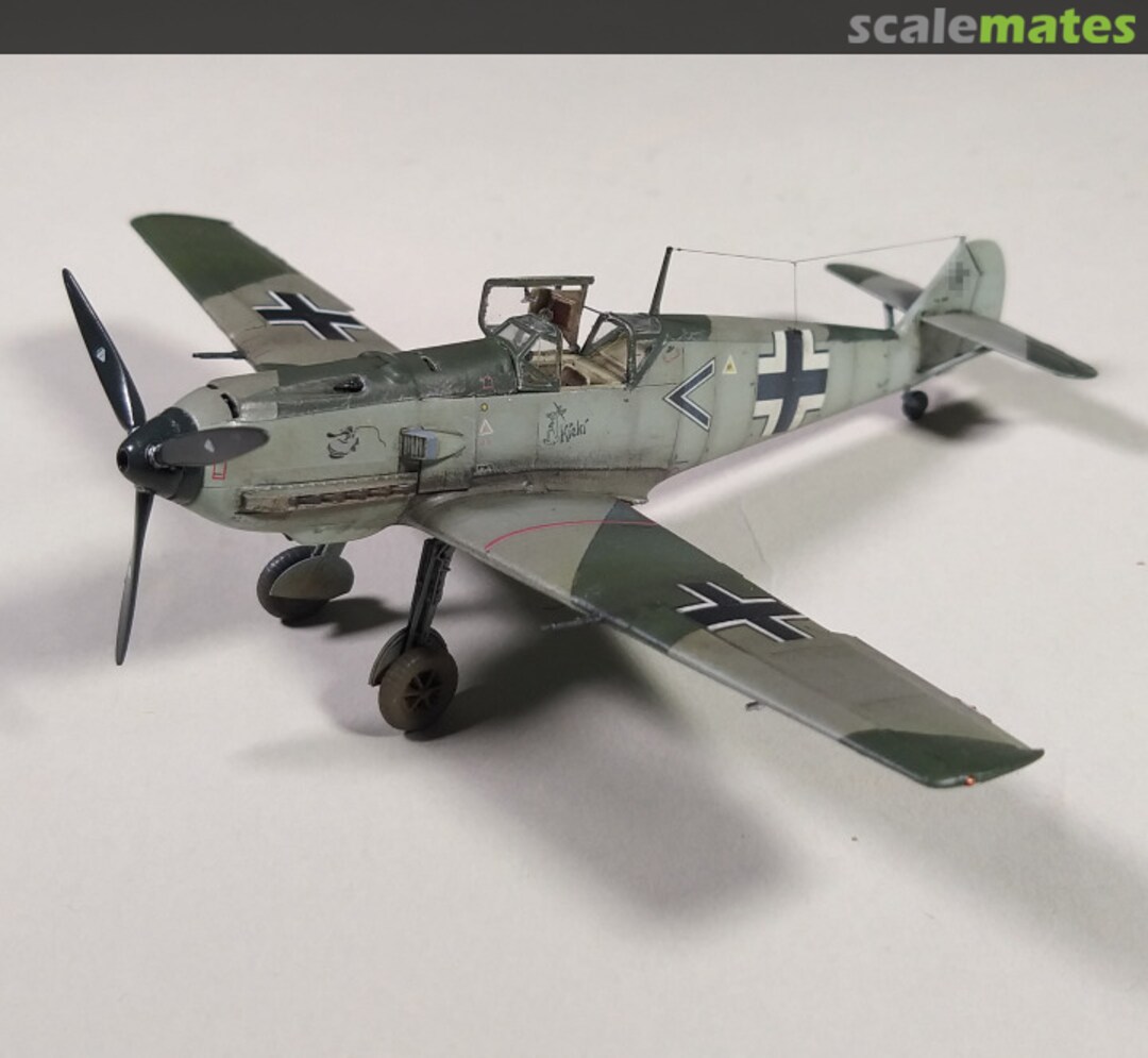 View album, image #4 View album, image #4