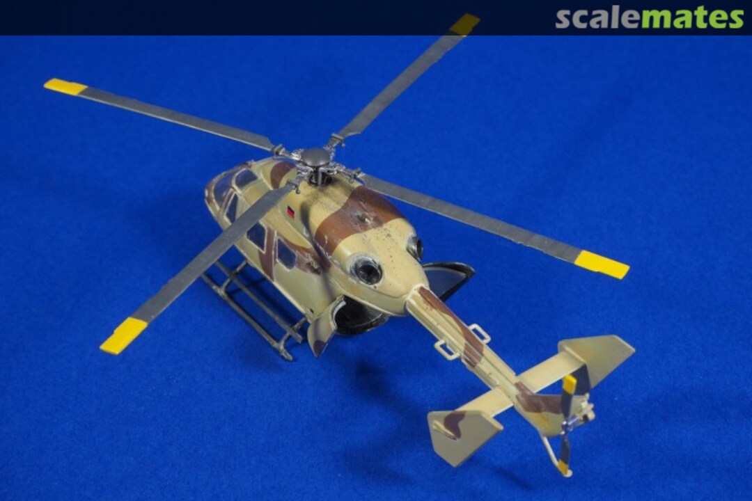 View album, image #7 View album, image #7