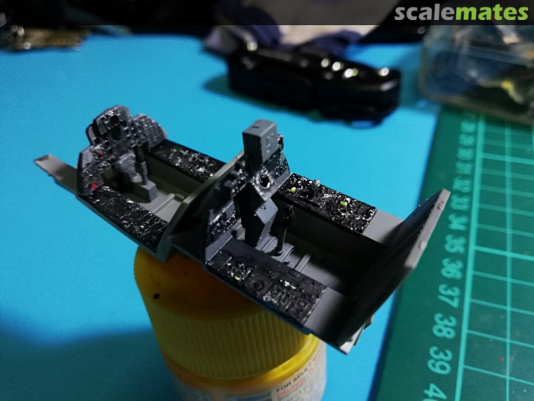 View album, image #1 View album, image #1