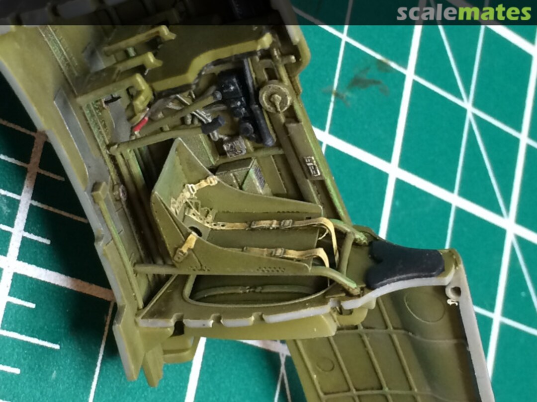 View album, image #1 View album, image #1