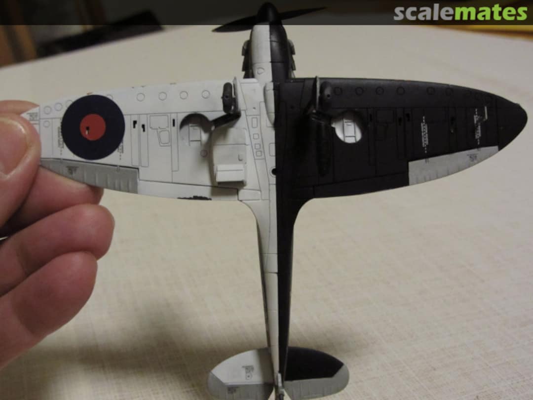 View album, image #1 View album, image #1