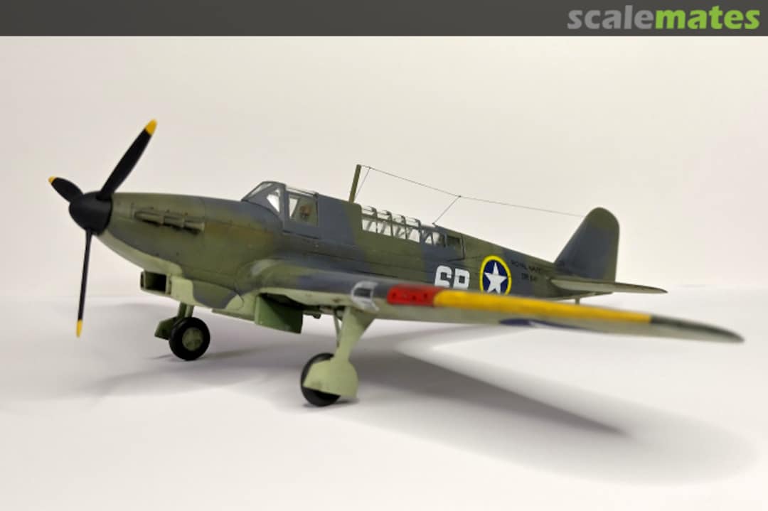 View album, image #10 View album, image #10