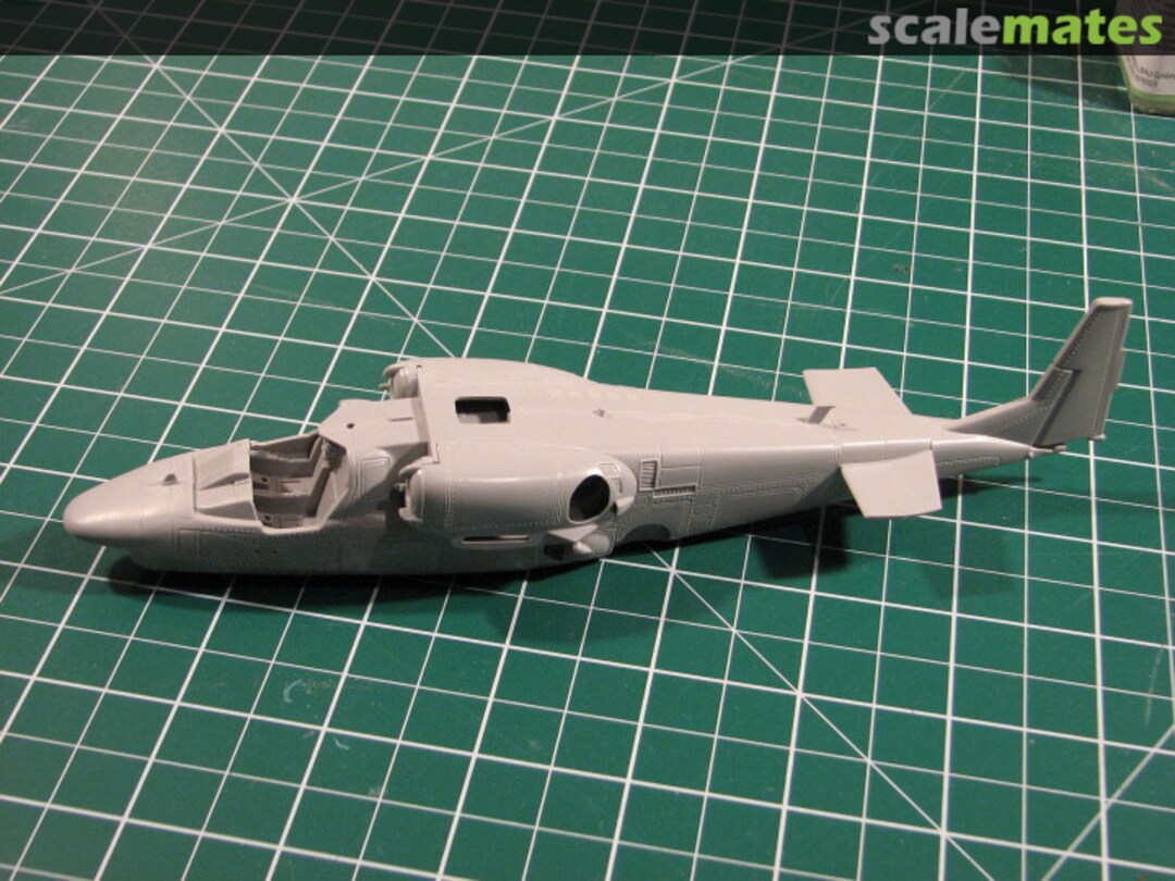 View album, image #1 View album, image #1