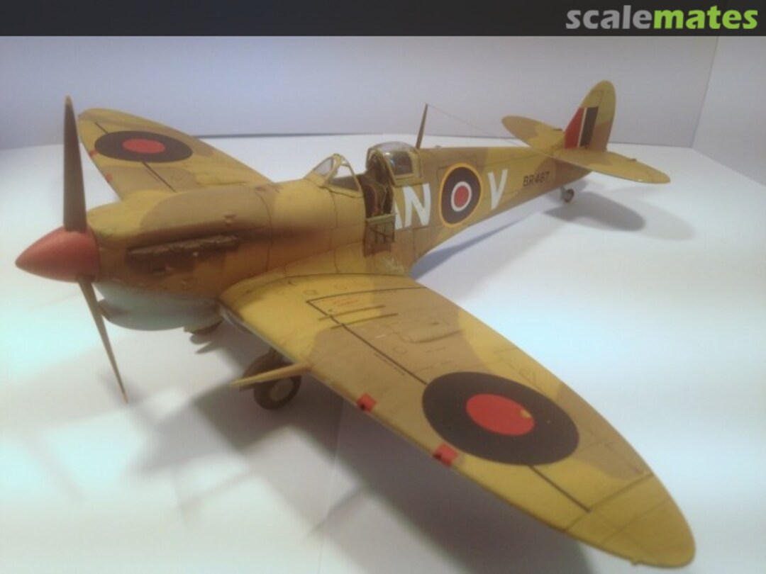 View album, image #1 View album, image #1