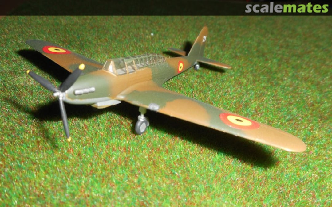 View album, image #12 View album, image #12