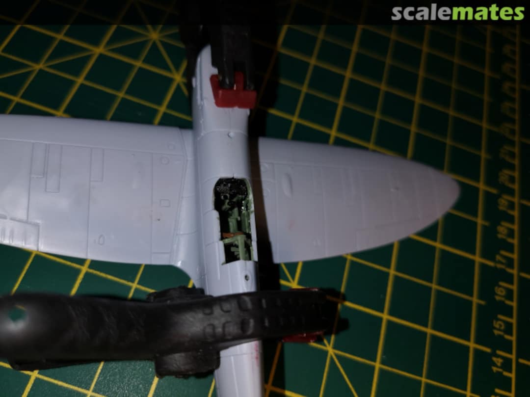 View album, image #1 View album, image #1