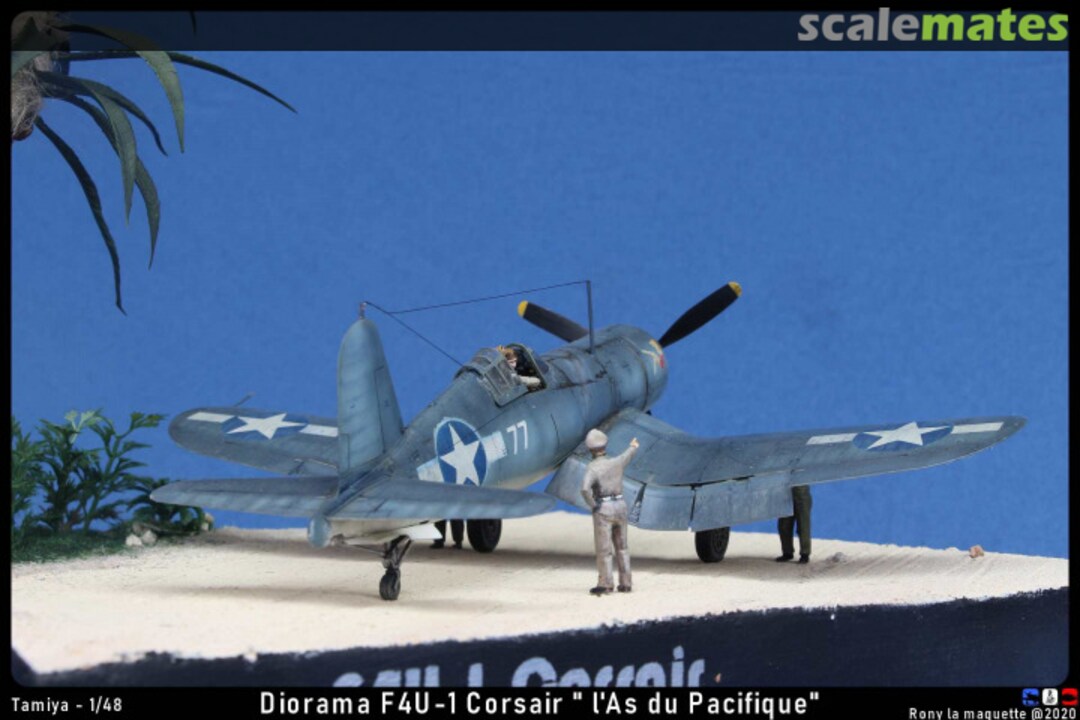 View album, image #49 View album, image #49