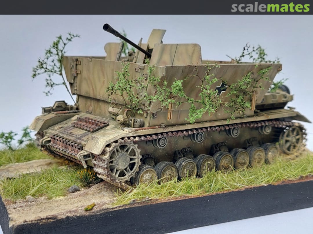 View album, image #28 View album, image #28