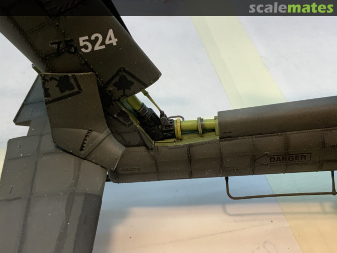 View album, image #1