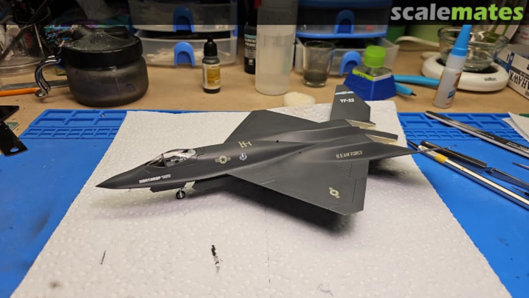 View album, image #1 View album, image #1