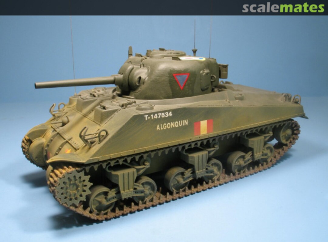 View album, image #10 View album, image #10