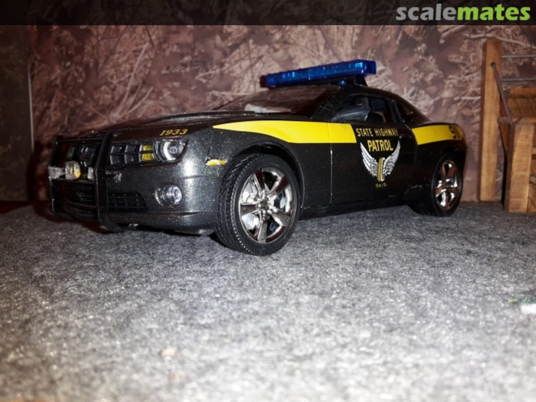 View album, image #1 View album, image #1