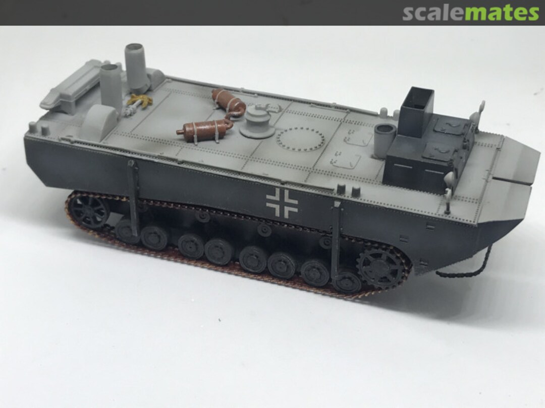 View album, image #1 View album, image #1