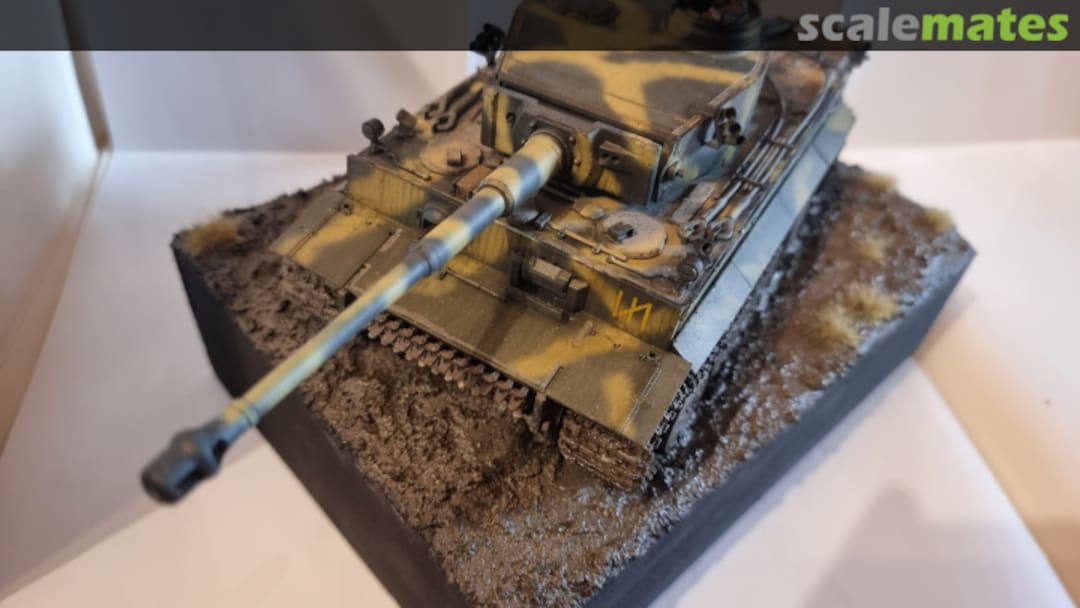 View album, image #1 View album, image #1