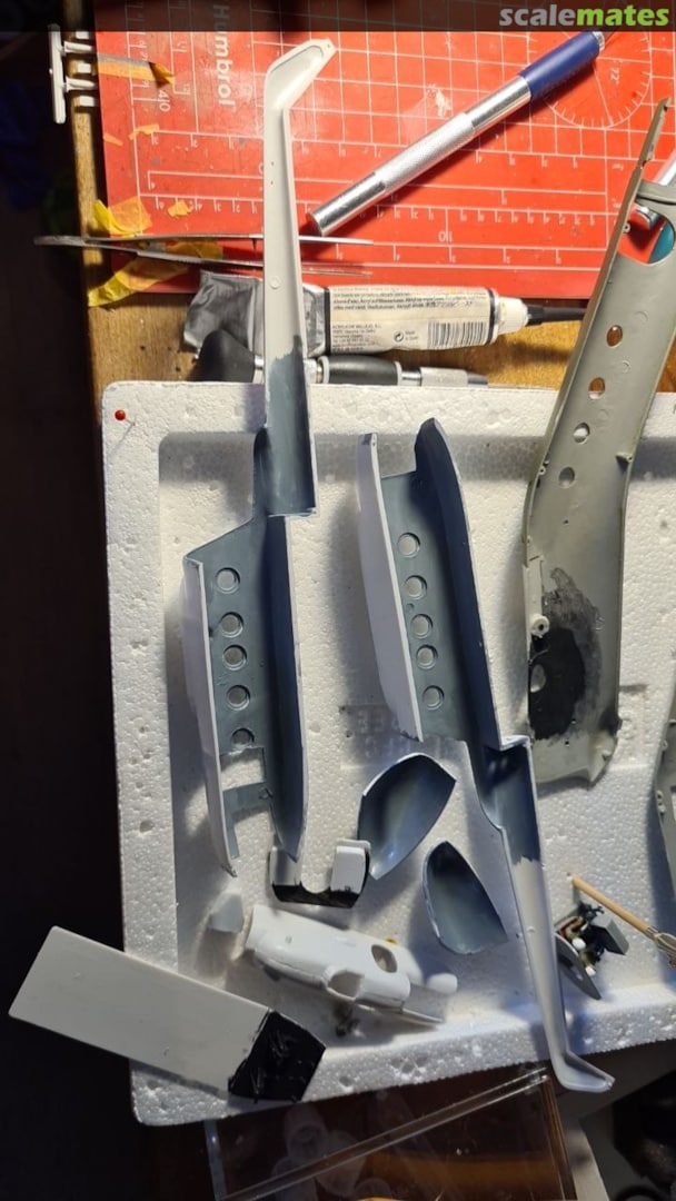 View album, image #11 View album, image #11