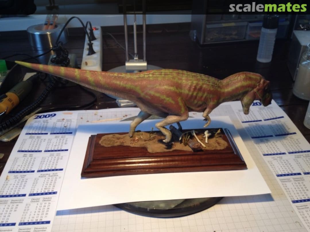 View album, image #7