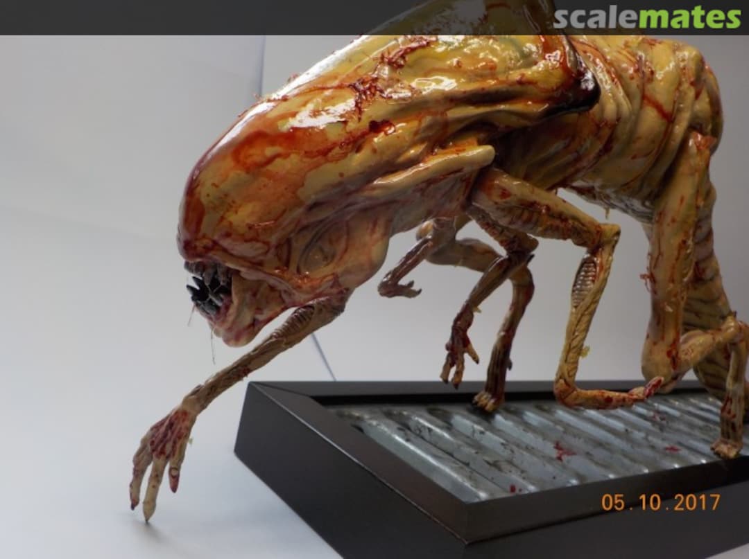 View album, image #1