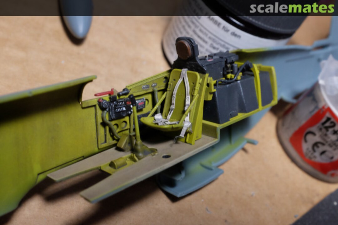 View album, image #1 View album, image #1