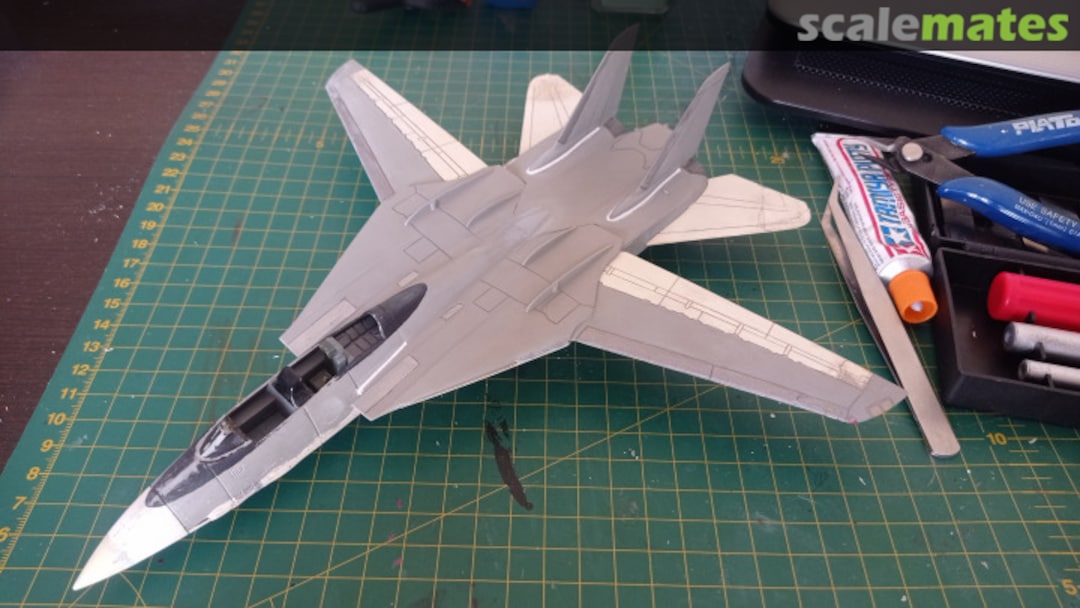 View album, image #5 View album, image #5