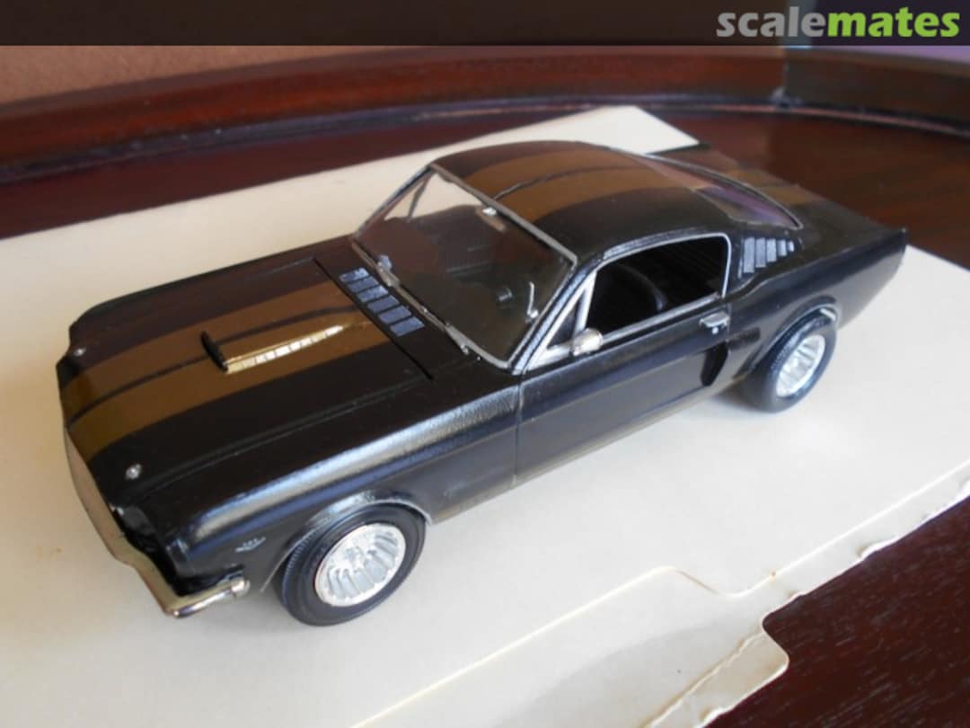 View album, image #1