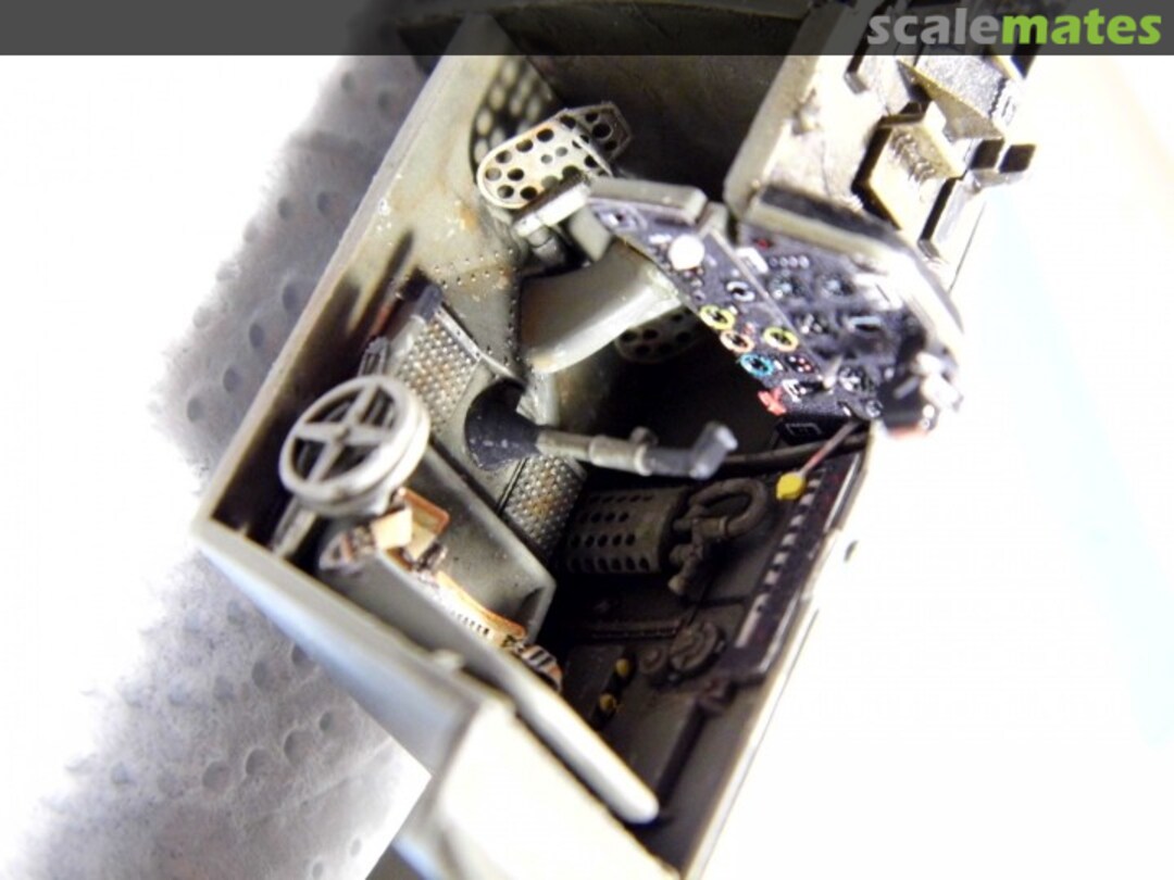 View album, image #1