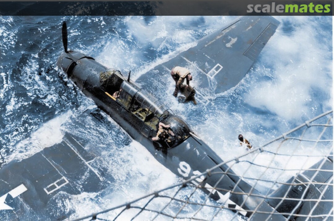 View album, image #1