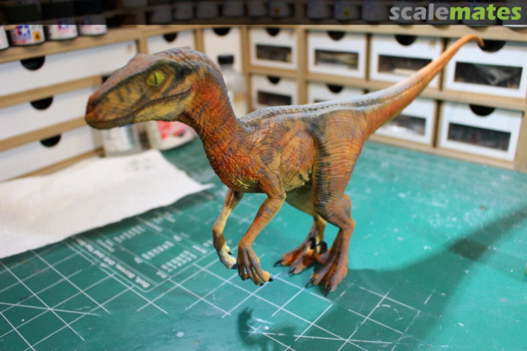 View album, image #13