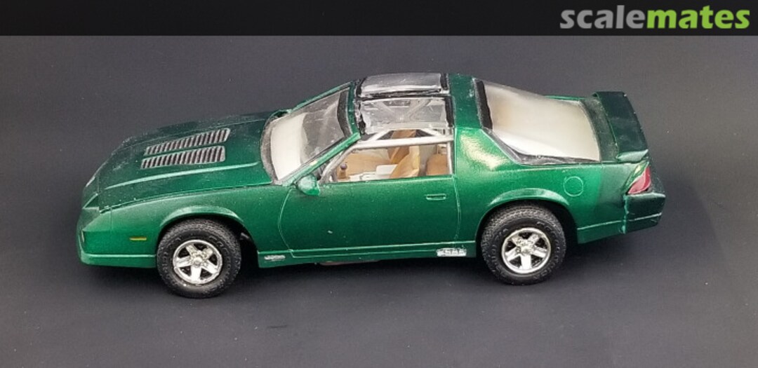 View album, image #1 View album, image #1