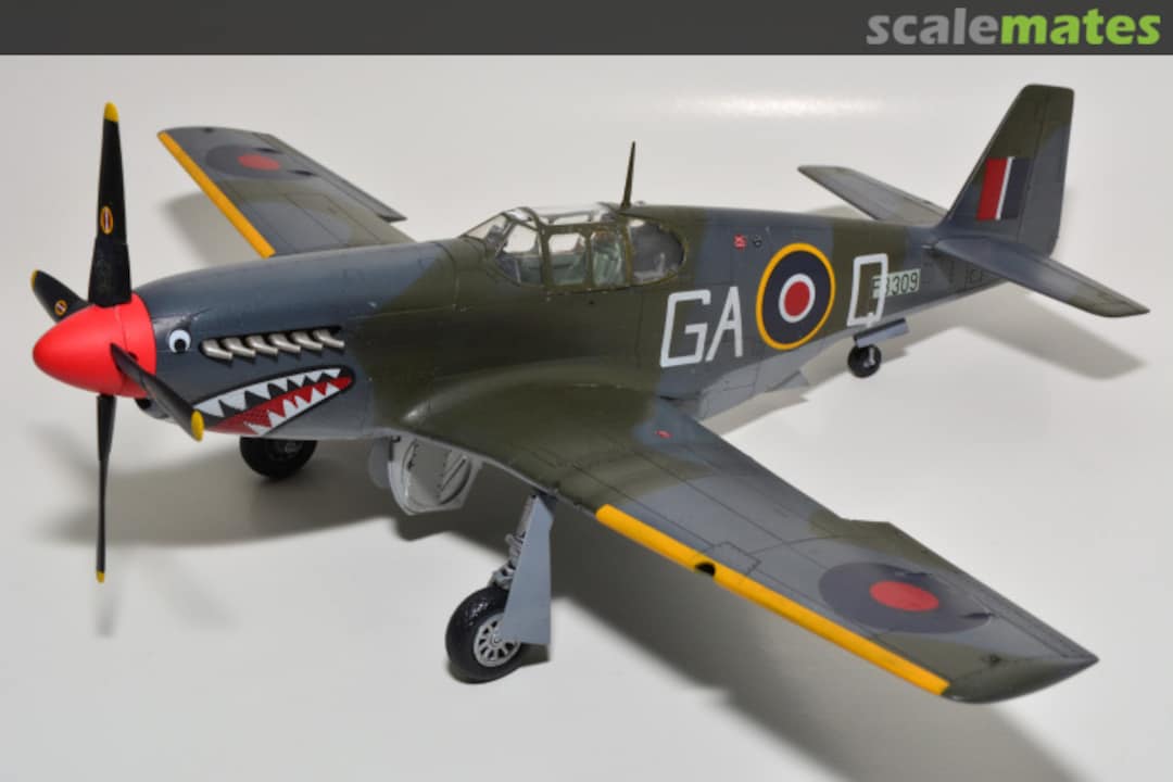 View album, image #1 View album, image #1