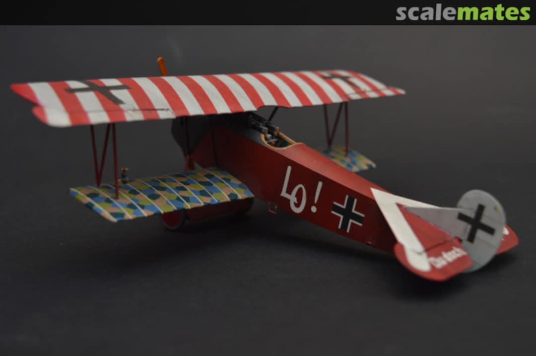 View album, image #12 View album, image #12