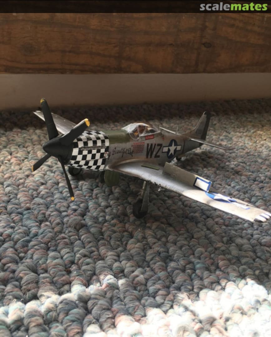 View album, image #1 View album, image #1