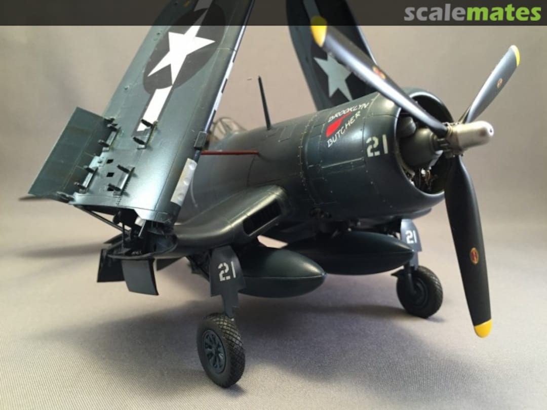 View album, image #1 View album, image #1