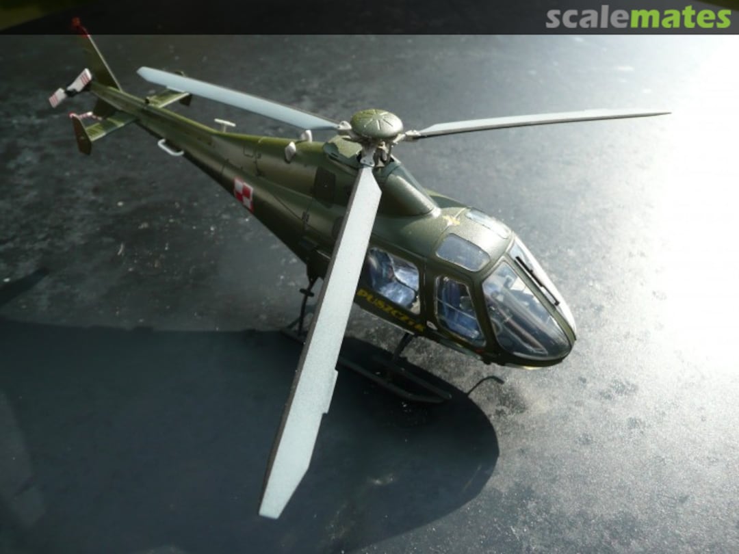 View album, image #1 View album, image #1