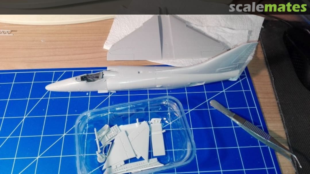 View album, image #15 View album, image #15