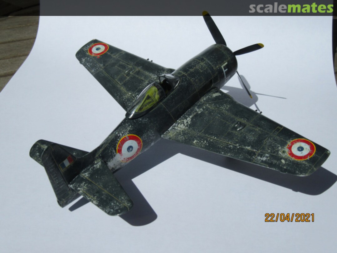 View album, image #1 View album, image #1