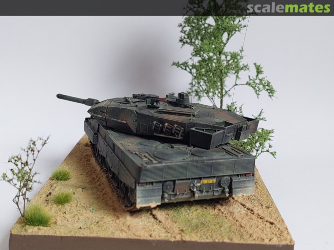 View album, image #1