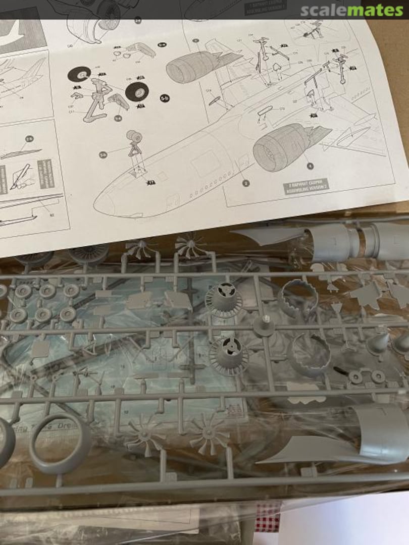 View album, image #1 View album, image #1