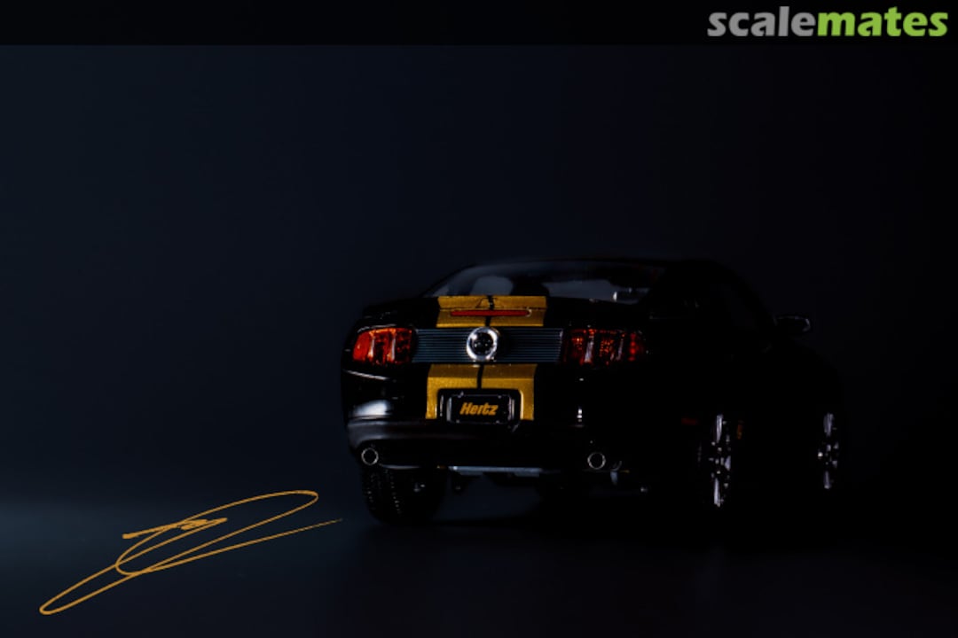 View album, image #1 View album, image #1