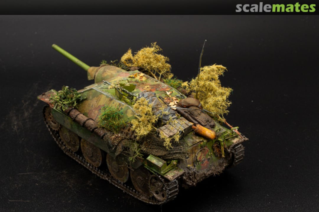 View album, image #1 View album, image #1