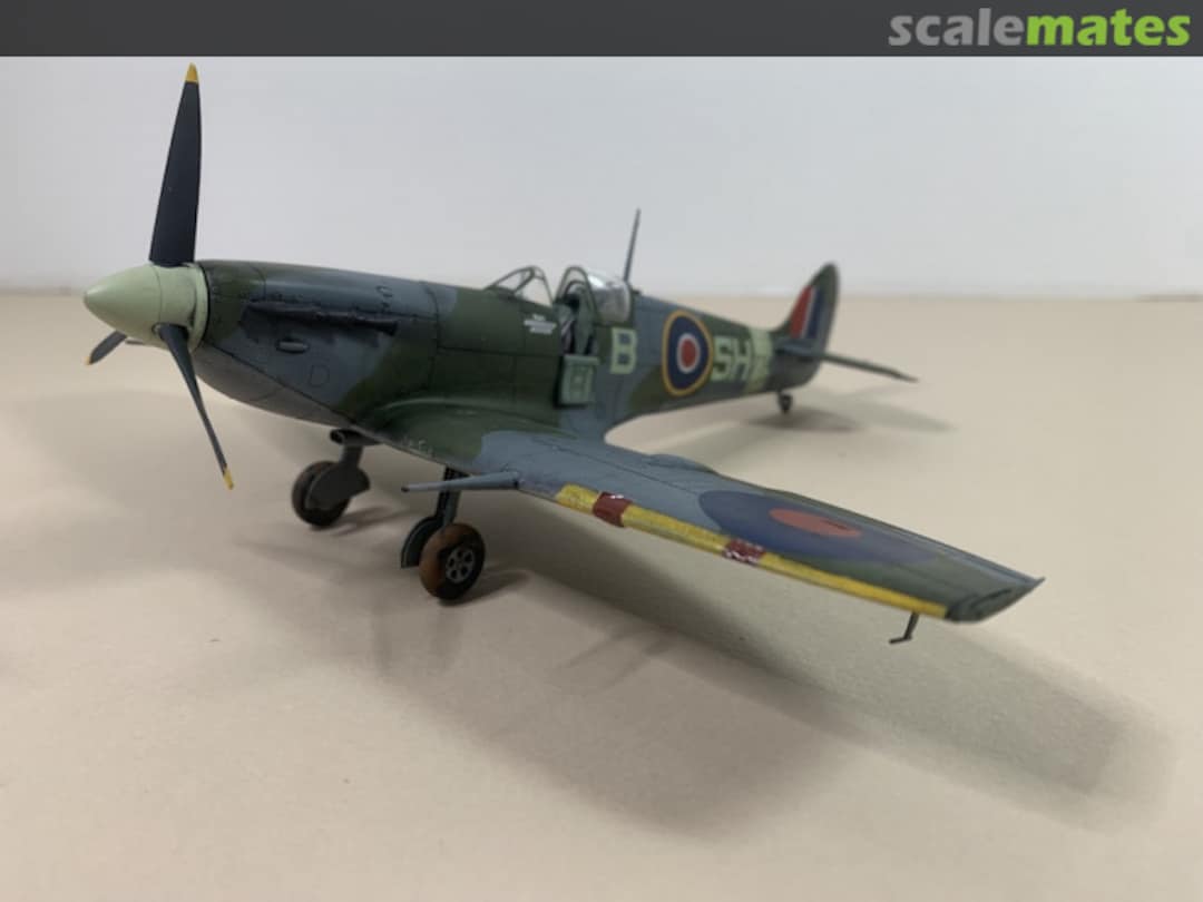 View album, image #1 View album, image #1