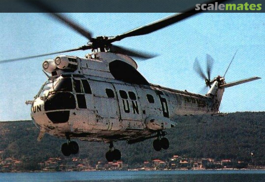 View album, image #1 View album, image #1