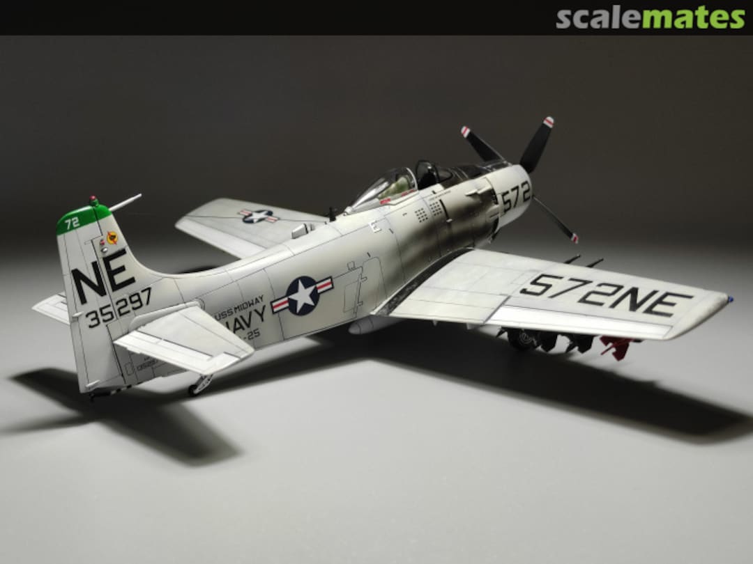 View album, image #5 View album, image #5