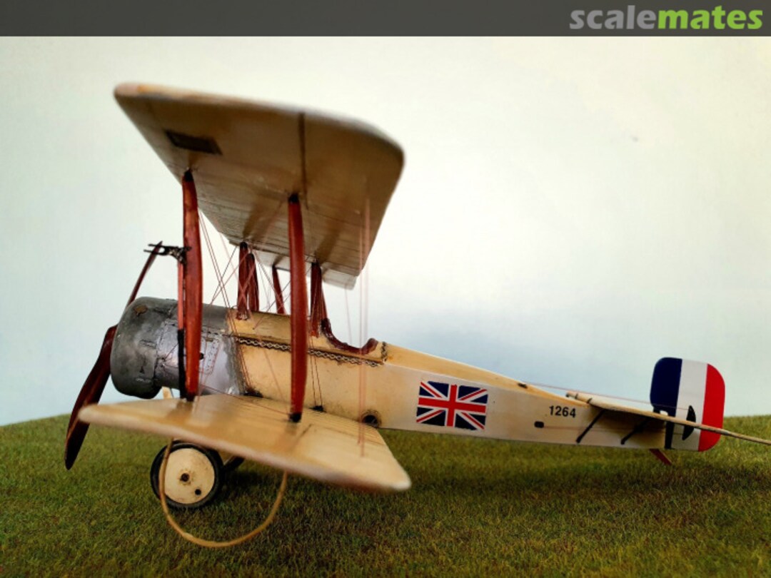 View album, image #3 View album, image #3