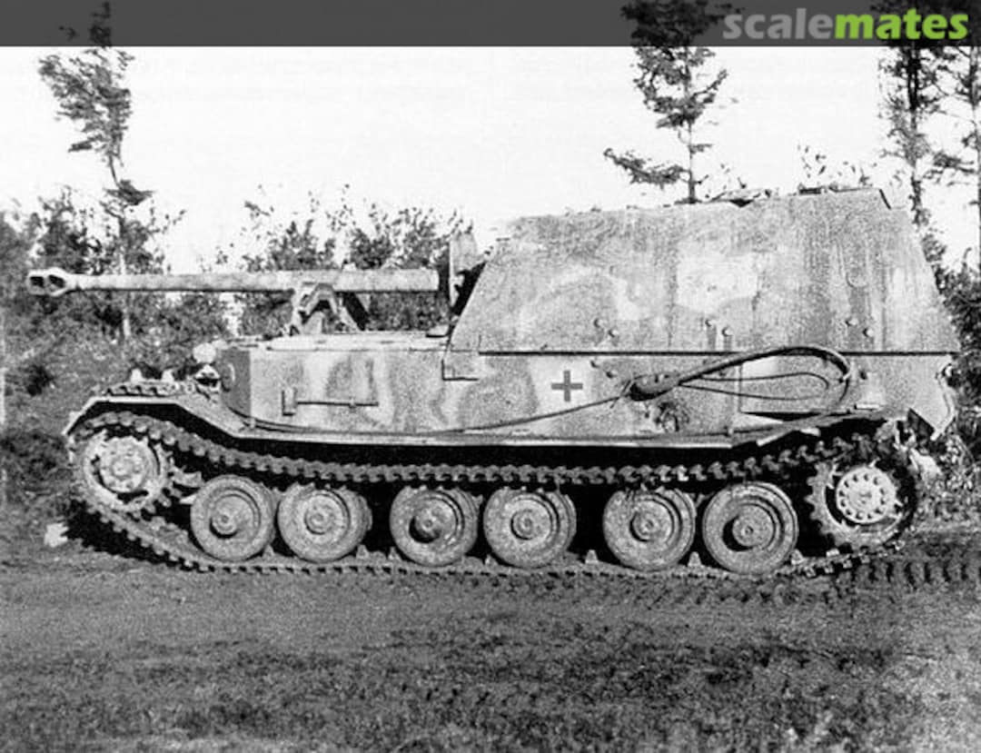 View album, image #1