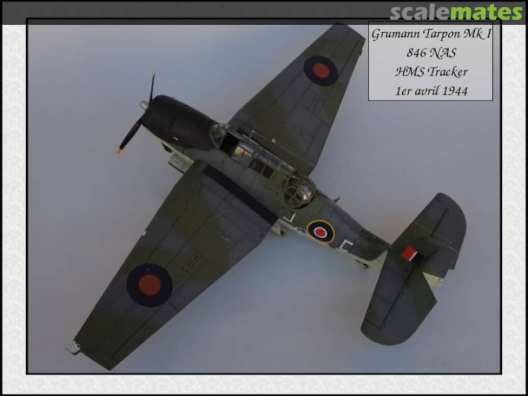 View album, image #1 View album, image #1